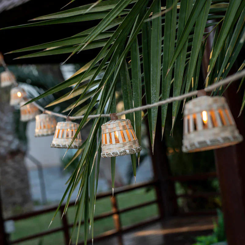 GARDENAURA | DECORATIEVE TROPISCHE SLINGERS