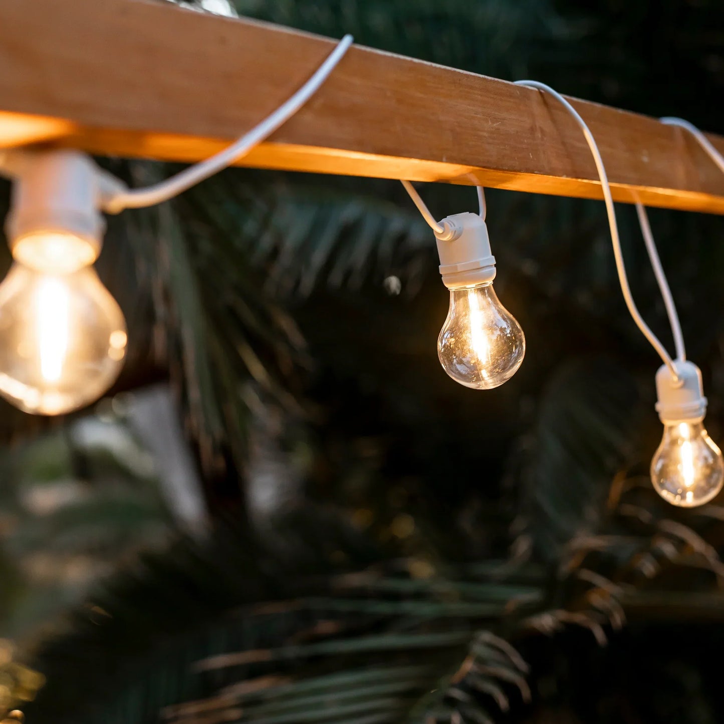 GARDENAURA | DECORATIEVE ALLEGRA SLINGERS