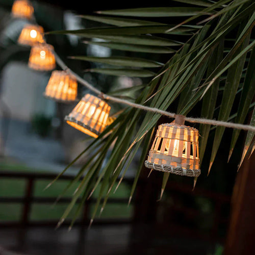GARDENAURA | DECORATIEVE TROPISCHE SLINGERS