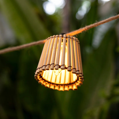 GARDENAURA | DECORATIEVE OKINAWA SLINGERS