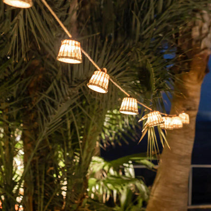 GARDENAURA | DECORATIEVE TROPISCHE SLINGERS