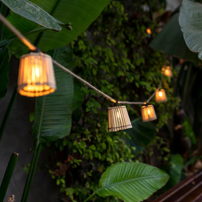 GARDENAURA | DECORATIEVE OKINAWA SLINGERS