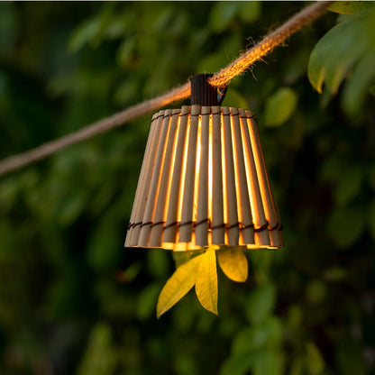 GARDENAURA | DECORATIEVE OKINAWA SLINGERS